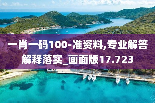一肖一码100-准资料,专业解答解释落实_画面版17.723