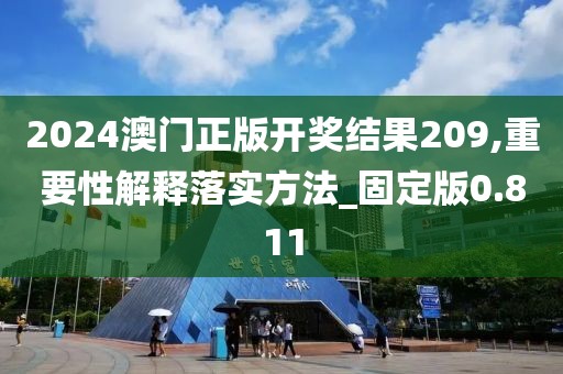 2024澳门正版开奖结果209,重要性解释落实方法_固定版0.811