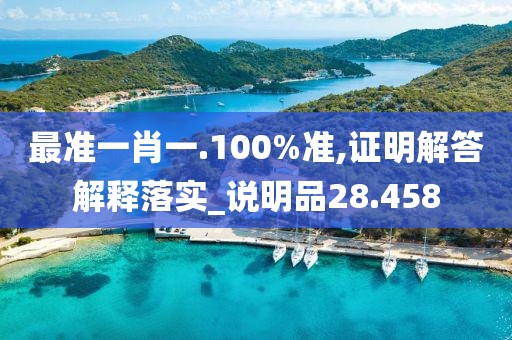 最准一肖一.100%准,证明解答解释落实_说明品28.458