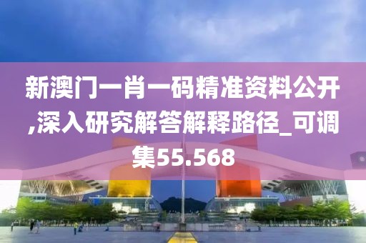新澳门一肖一码精准资料公开,深入研究解答解释路径_可调集55.568