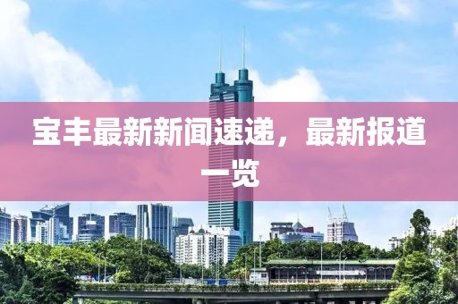 宝丰最新新闻速递，最新报道一览