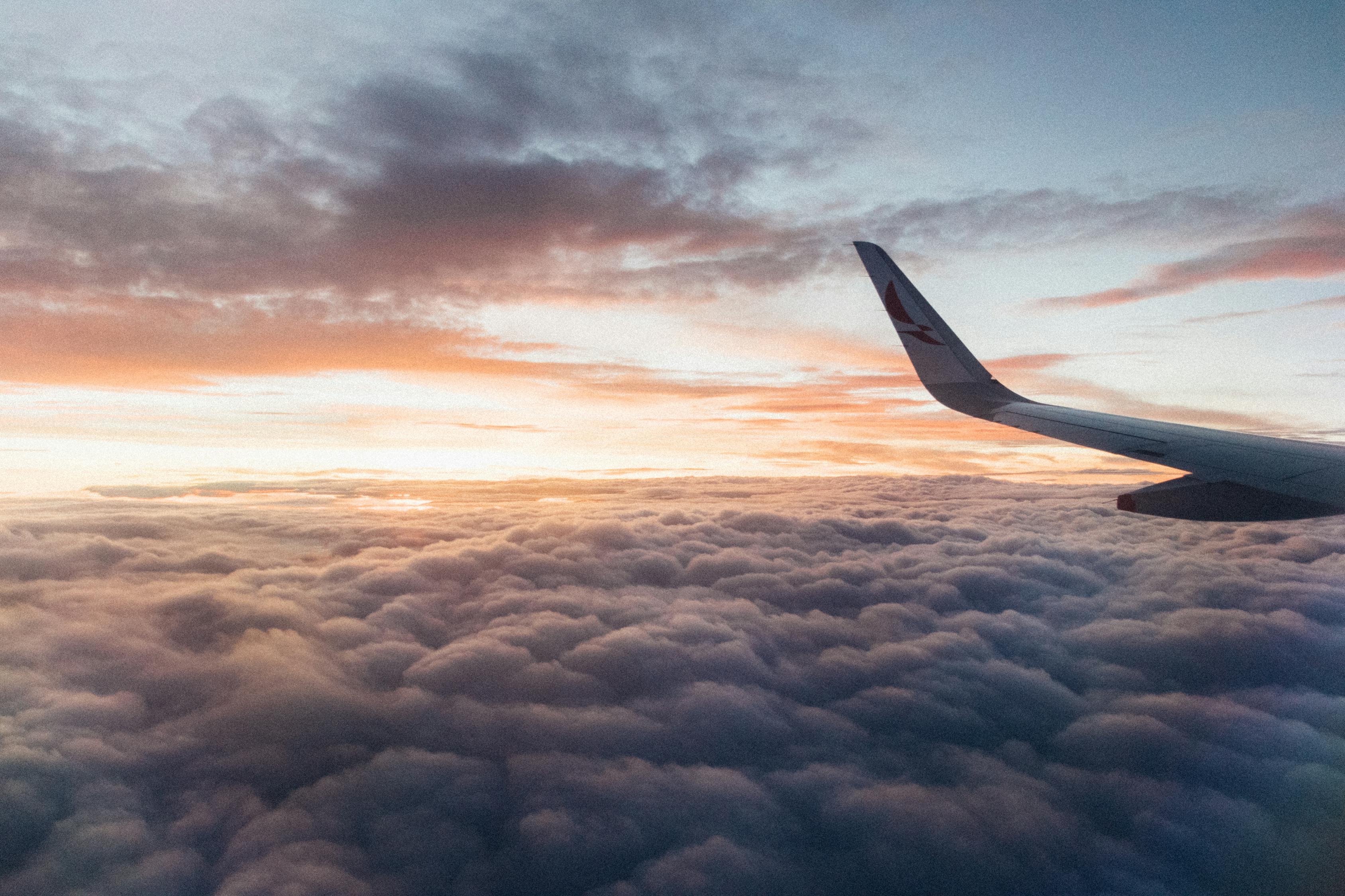 轮回空界最新