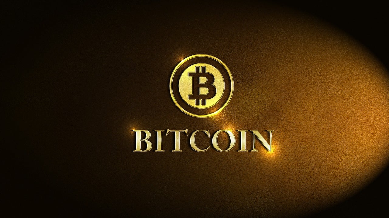 牛林杰最新