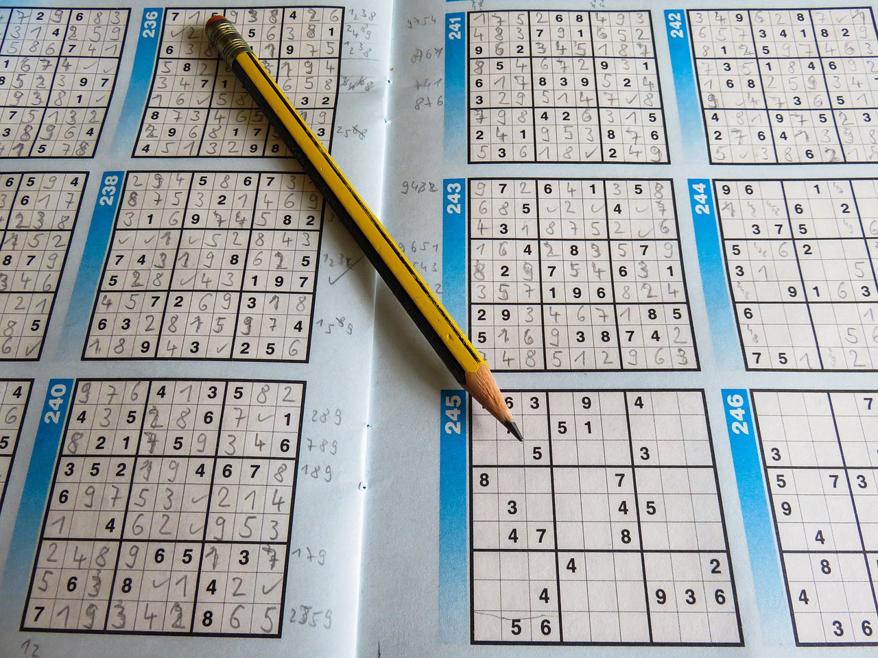 2024年新奥正版资料免费大全,深入解答解释定义_组合型67.541
