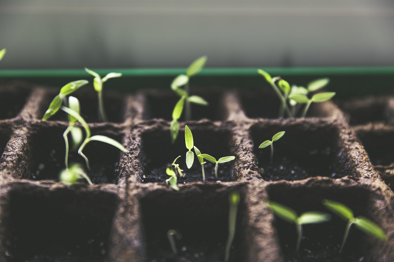 最新园林绿化验收规范详解与解析