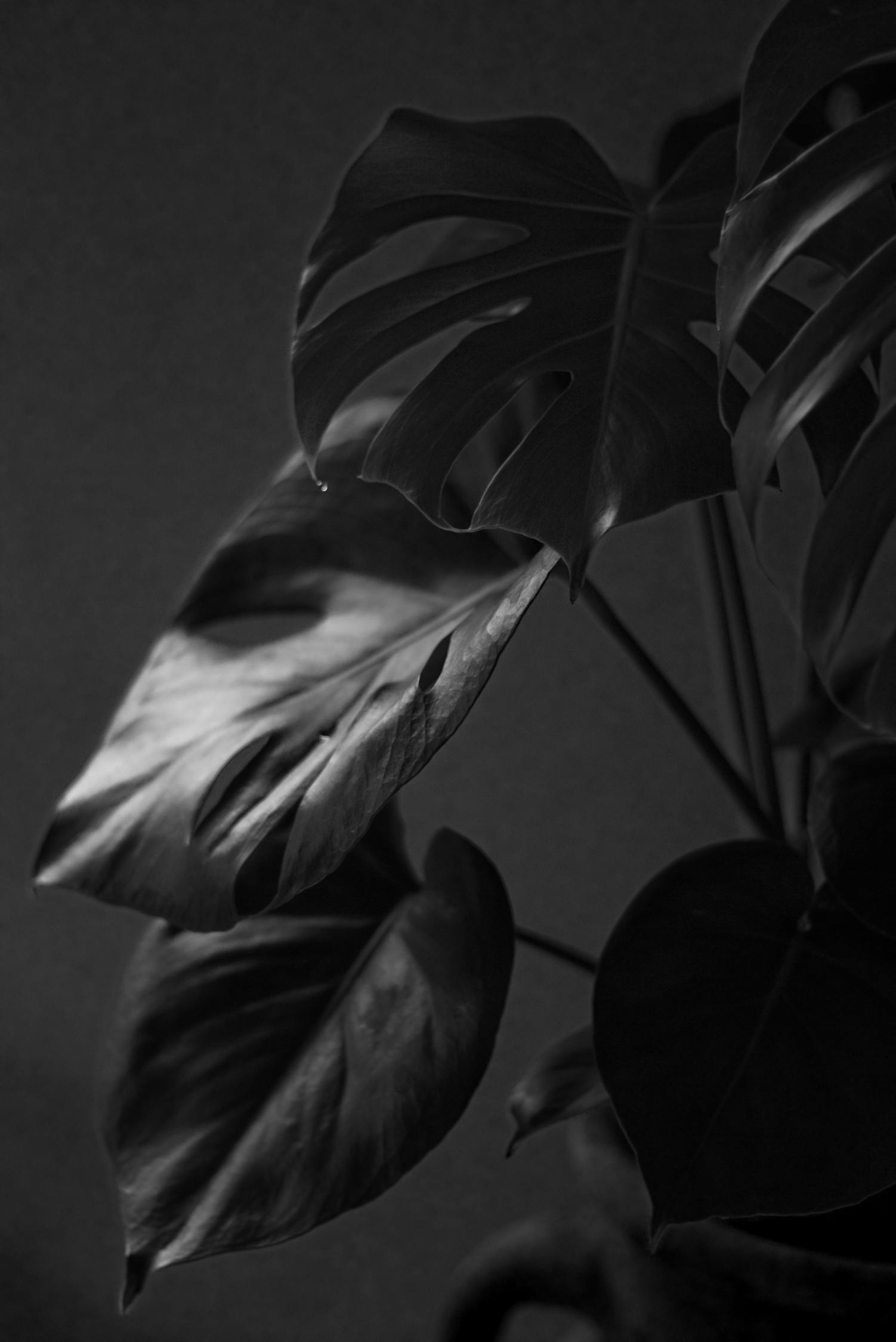 欧阳兴思 第6页