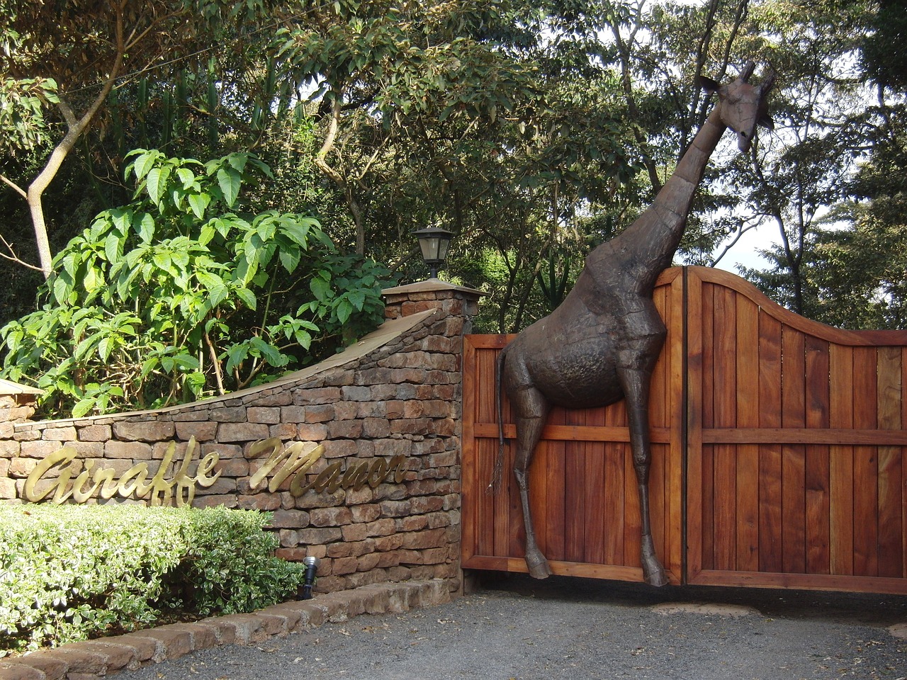 简阳鳌山公园最新景观图片及特色展示