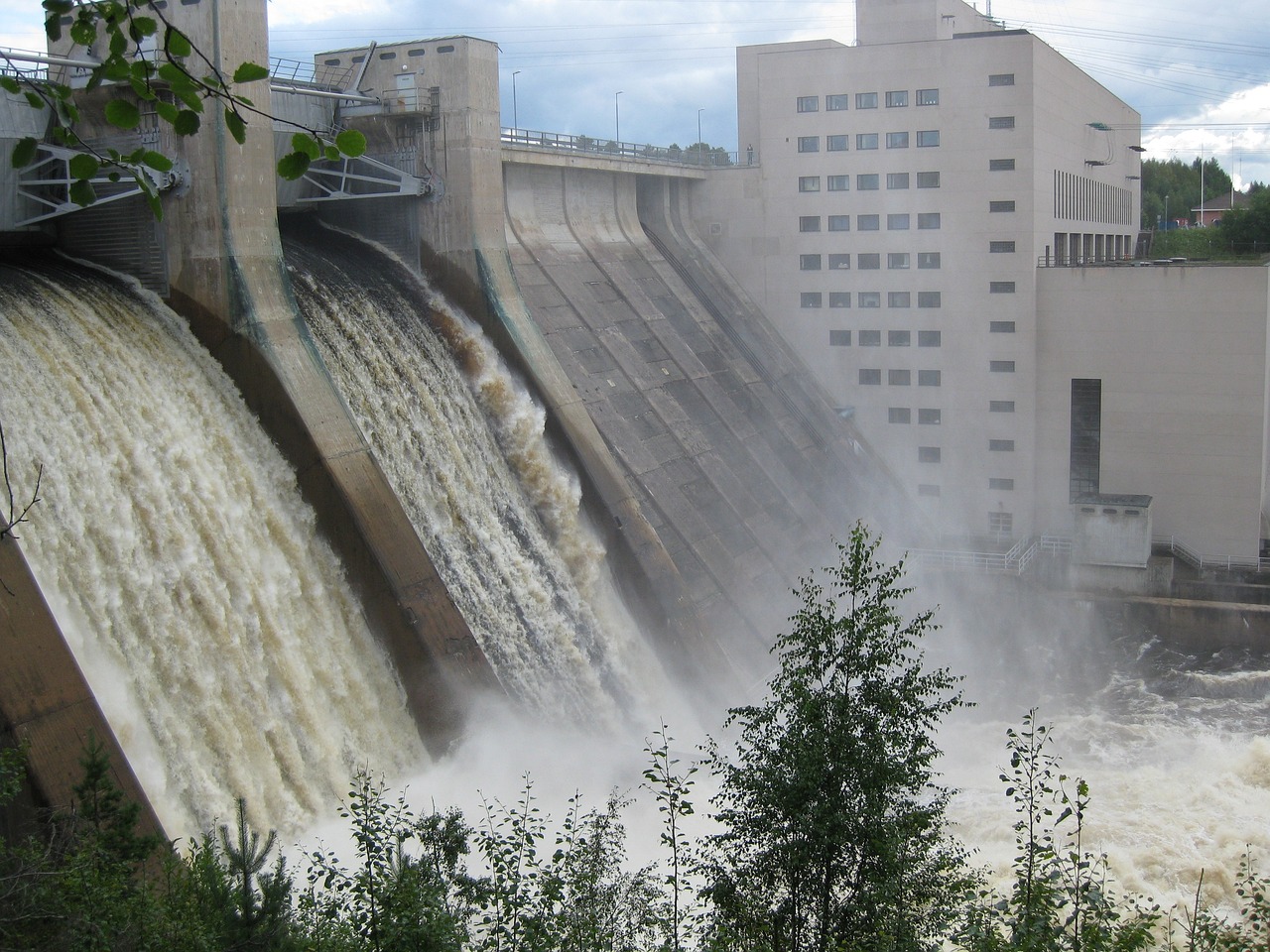 旗新雨 第4页